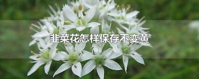 韭菜花怎么放不黄 韭菜花怎么保持不变色