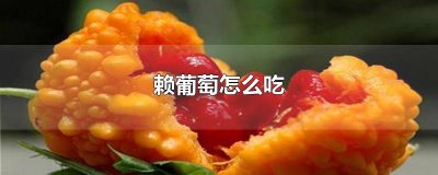 赖葡萄怎么吃