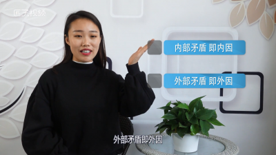 内因和外因的辩证关系