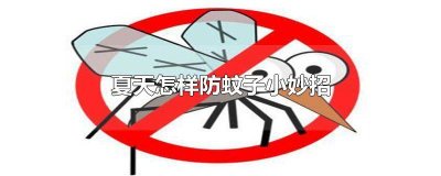 夏天如何预防蚊子咬伤 夏天如何预防蚊子进屋