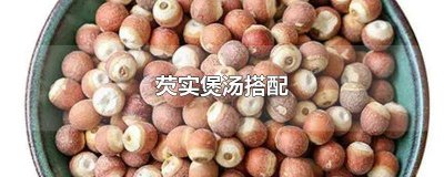 鲜芡实煲汤的做法 新鲜芡实煲的做法大全