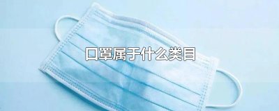 口罩属于什么类目