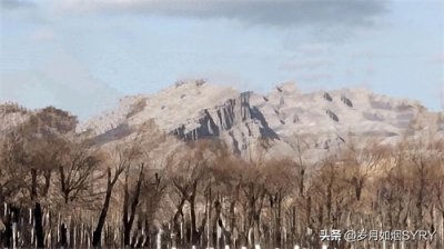 中国古代最大的战役——长平之战