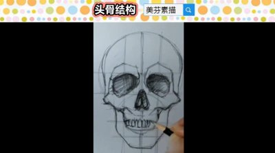 通过头骨可以理解人像的结构,教你用最简单的方法画素描正面头骨