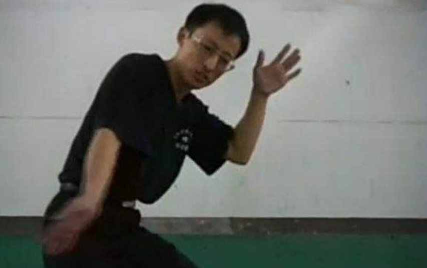 鹤鸣先生是谁_疯狗拳掌门人陈鹤皋到底有多强 鹤鸣先生是谁_疯狗拳掌门人陈鹤皋到底有多强