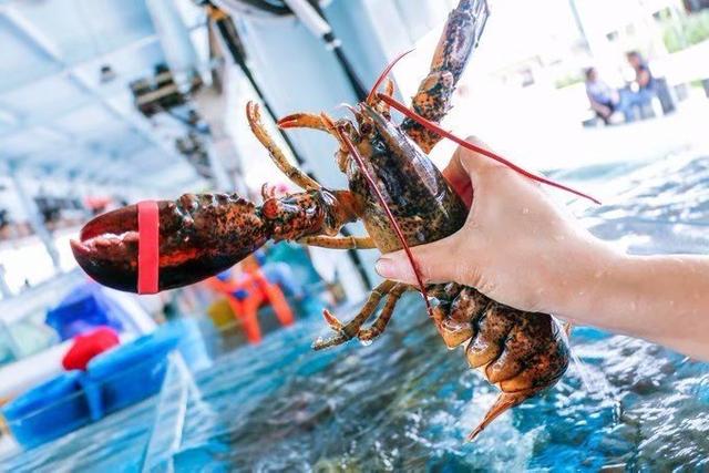 海南端午节旅游攻略（相约最美的海口）(16)