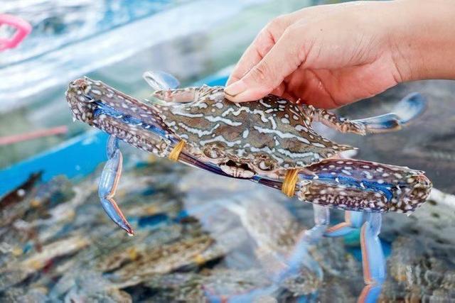 海南端午节旅游攻略（相约最美的海口）(17)