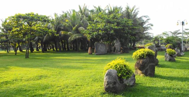 海南端午节旅游攻略（相约最美的海口）(5)
