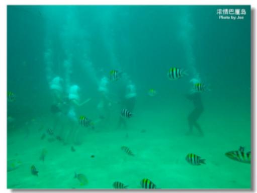 巴厘岛旅游攻略大全最新(海岛游之印度尼西亚)(11)