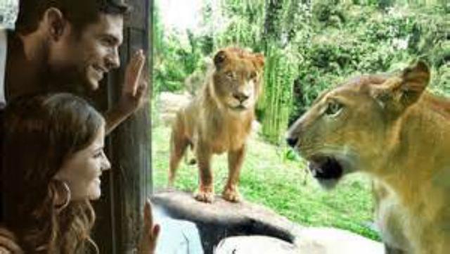 巴厘岛旅游攻略大全最新(海岛游之印度尼西亚)(19)