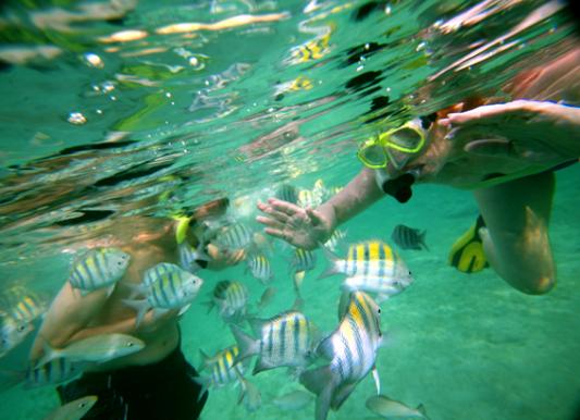 巴厘岛旅游攻略大全最新(海岛游之印度尼西亚)(6)