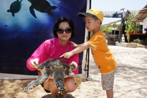 巴厘岛旅游攻略大全最新(海岛游之印度尼西亚)(10)