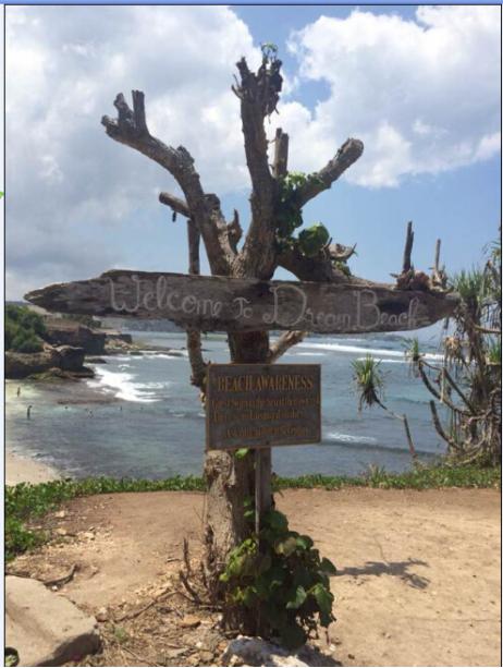 巴厘岛旅游攻略大全最新(海岛游之印度尼西亚)(9)