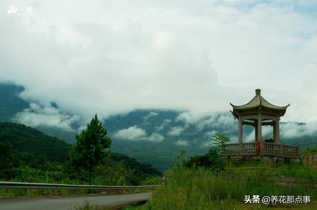 福州旅游攻略自由行五日游(史上最全的福州自由行攻略)(19)