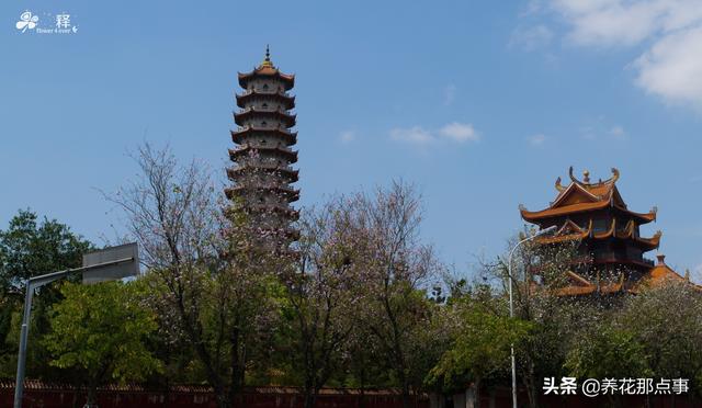 福州旅游攻略自由行五日游(史上最全的福州自由行攻略)(3)