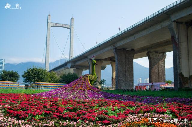 福州旅游攻略自由行五日游(史上最全的福州自由行攻略)(6)