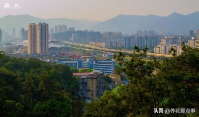 福州旅游攻略自由行五日游(史上最全的福州自由行攻略)