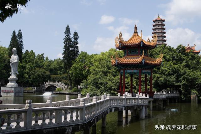 福州旅游攻略自由行五日游(史上最全的福州自由行攻略)(8)