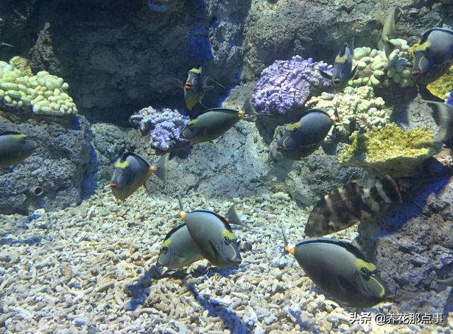 福州旅游攻略自由行五日游(史上最全的福州自由行攻略)(26)