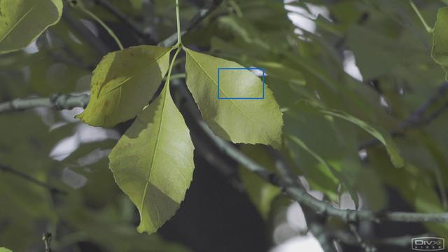 索尼4k摄像机评测(HDR的手持摄像机)(26)