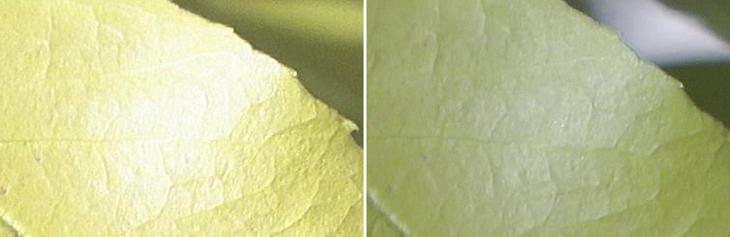 索尼4k摄像机评测(HDR的手持摄像机)(27)