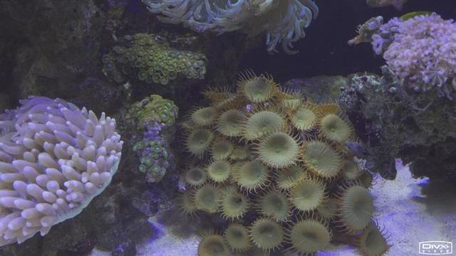 索尼4k摄像机评测(HDR的手持摄像机)(35)