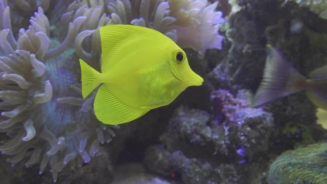 索尼4k摄像机评测(HDR的手持摄像机)(37)