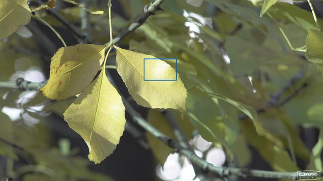 索尼4k摄像机评测(HDR的手持摄像机)(25)