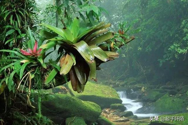 比较排华的国家(排华问题最严重的国家之一)(35)