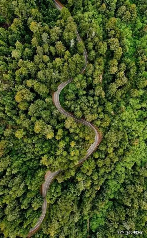 比较排华的国家(排华问题最严重的国家之一)(36)