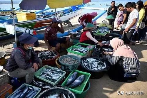 比较排华的国家(排华问题最严重的国家之一)(30)