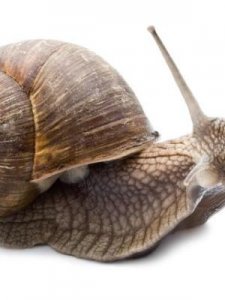 ​恍然大悟反义词(恍然大悟反义词是什么)