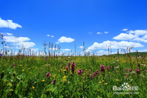 2、6-9月最适合旅游？