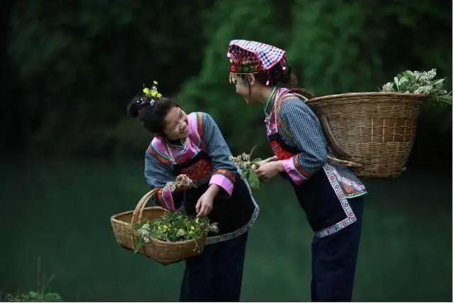 云南多少个民族(云南以什么族为主)