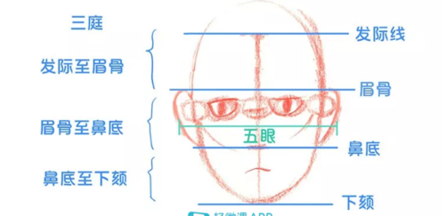 五官指的都是哪五官