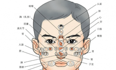 ​五官科是指哪五官,五官指的是哪五个部位?