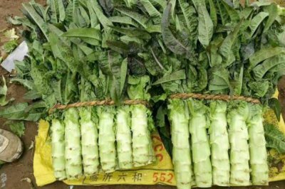 ​莴苣是感光食物吗 莴苣是莴笋吗