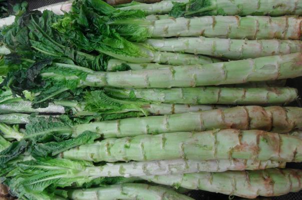 莴苣是感光食物吗 莴苣是莴笋吗