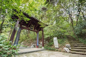 玉皇山在哪里(玉皇山海拔多少米)