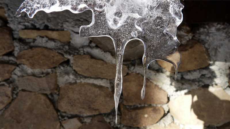 化石的形成与流水掩埋无关(化石的形成与流水掩埋无关吗)