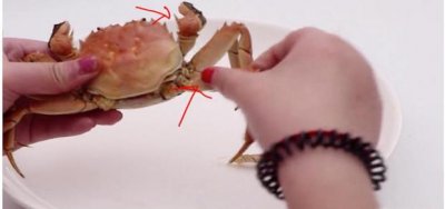 ​图解正宗吃螃蟹的方法