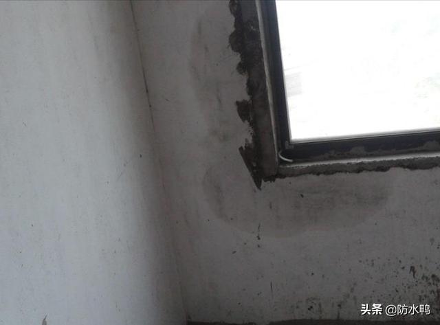 外墙渗水防水补救方法（外墙渗水的防水修缮攻略大全）(2)