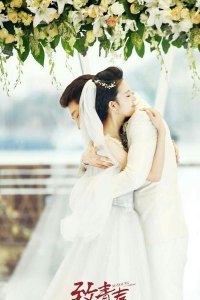 ​致青春为什么郑微选了林静