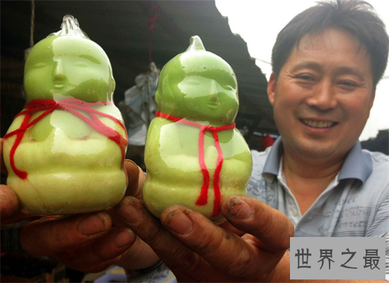 探索人参果树的秘密，吃了传说中的人参果真的能长生不老吗？