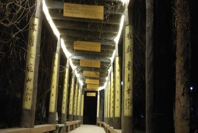 山东邹城实力最强的四所高中,每一所都实力超群