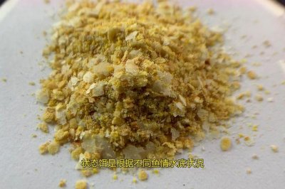 ​钓鱼饵料哪种好（不同鱼种对不同饵料的喜好程度）