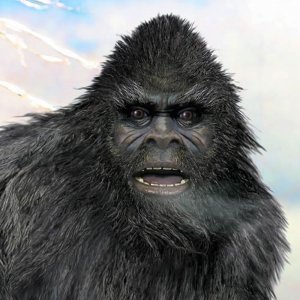 ​美国联邦调查局（FBI）公开文件证实1976年曾调查怀疑属大脚怪的毛发样本