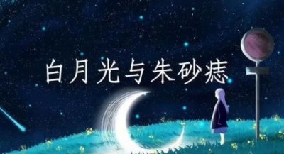 ​十大抖音最火的歌曲（《一路生花》也在榜上）