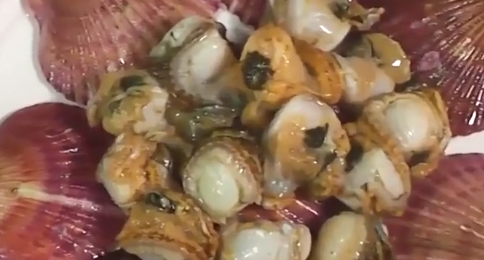 冷冻扇贝肉怎么处理,冷冻扇贝怎么处理图解图6