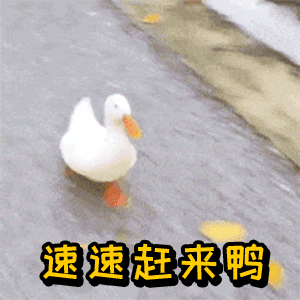 文创伴手礼创意（这些独具创意的文创礼物）(1)